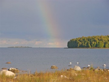 Strong's Island