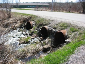 Cedarville Harbor_1