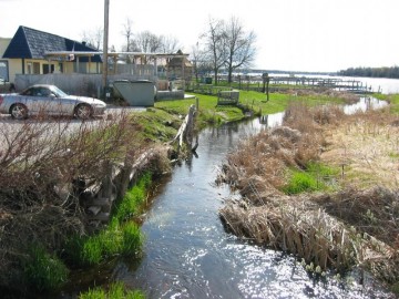 Cedarville Harbor_2