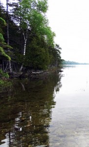 June 2019 Government Island Shoreline